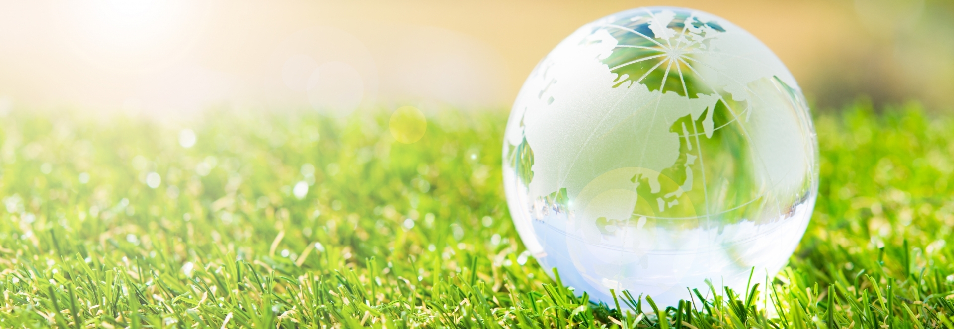 三建グループ株式会社の事業概要